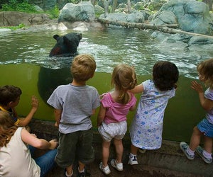 Peek inside a rainforest at Providence's Roger Williams Park Zoo.
