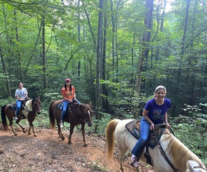 Experience the wonder of the Blue Ridge Mountains by horseback riding along the Appalachian trails. Photo by Bill Leffler