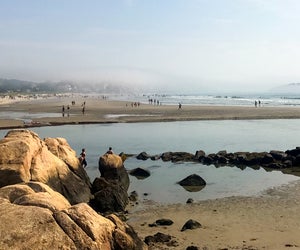 Perfect for a day trip from Boston, Cape Ann has miles of beaches, great food, and plenty of family fun. Good Harbor Beach photo by Bex Walton via Flickr 2.0