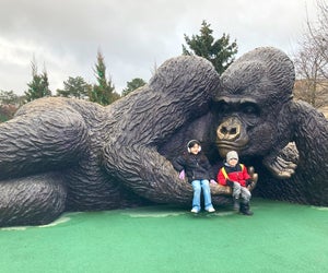 You can easily spend all day at Brookfield Zoo Chicago. Photo by the author