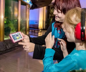 Calm Waters is a sensory-friendly event at Shedd Aquarium. Photo courtesy of the Shedd Aquarium 