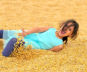 Kids love rolling around the barn full of corn at Fink’s Country Farm. Photo by the author