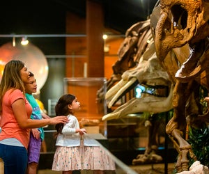 Visit the Hall of Paleontology at the Museum of Natural Science. Photo courtesy of Visit Sugar Land.