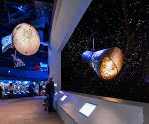 NASA's Space Center is one of Houston's best science museums for kids. Photo by Pierce Ingram, courtesy of Travel Texas