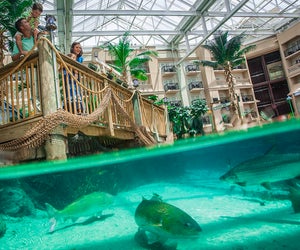 Nab a Gaylord Palms Resort Guess Pass and spend the day enjoying the water park, dining options, and other amenities. Photo courtesy of Marriott Gaylord Palms 