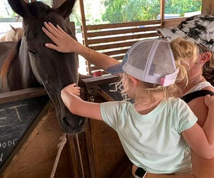 Meet the horses and enjoy a free ride at Happi Farm in Davie. Photo courtesy of the farm