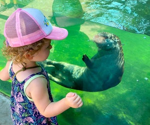 Admire the hundreds of animals at the Oakland Zoo. Photo courtesy of the Oakland Zoo