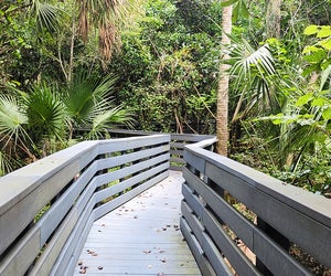 Enjoy a refreshing stroll with the kids along the scenic boardwalk at Sweetwater Park.