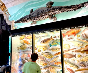The Vanderbilt has a planetarium, an expansive mansion, and a museum, making it a great place to explore on a rainy day. Photo by Kristen Markel