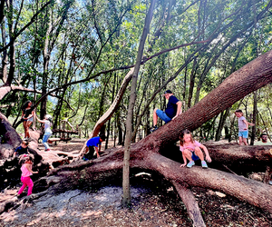Bonnet Springs Park in Lakeland makes the the perfect outdoor day trip.